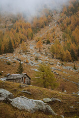 Monte Caldenno - Lombardia (Sondrio) Alpi Occidentali  Alpi Retiche, Gruppo Masino - landscape of...