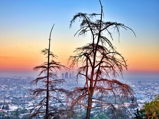 Fototapeta premium Sonnenuntergang in den Hollywood Hills