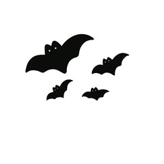 Bats