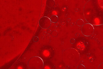 Selective close-up focus of a petri dish with blood with copy space. The concept of developing...