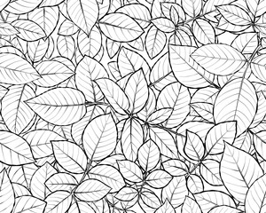 Seamless pattern. Rose Leaves. Black and white realistic graphics. Vector. Digital paper. Surfaces design.