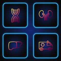 Set line Ambulance car, Human organ liver, DNA symbol and kidneys. Gradient color icons. Vector