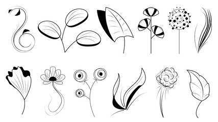 Abstract Set Doodle Elements Hand Drawn Collection Botanic Herbal Flora Leaf Branch Vine Flower Plant Elements Vector Desgin Style