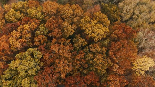 Fall