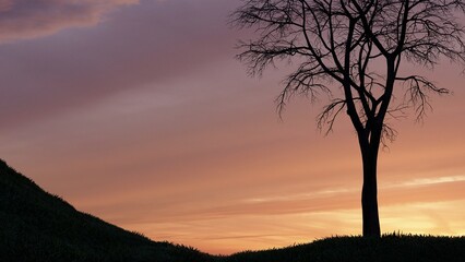 Fototapeta na wymiar sunset in the mountains, Tree silhouette.