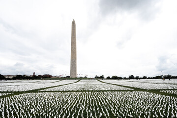Washington DC Mall covered with white flags for Covid deaths