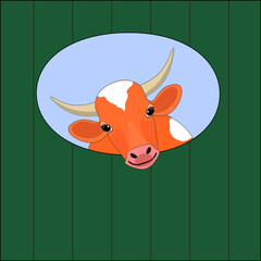 portrait of a cow with horns, a cow looking out the window. the cow is brown with white spots. illustration