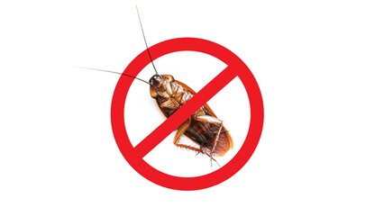 Anti cockroach, pest control. Stop insects sign.cockroach with caution sign pest control in red...