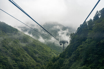 雲の中を進むロープウェイ