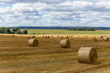 View of a wide harvested field