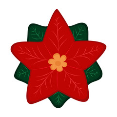 Isolated Christmas flower is the poinsettias on a white background. Cartoon flat style.
