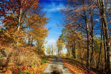 Fototapeta premium Autumn nature in the Beskydy Mountains in Moravia in the Czech Republic.