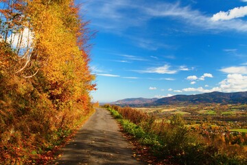 Fototapeta premium Autumn nature in the Beskydy Mountains in Moravia in the Czech Republic.