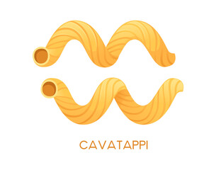 Uncooked italian pasta cavatappi cuisine staples vector illustration isolated on white background