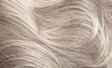 Blond hair close-up as a background. Women's long light brown hair. Beautifully styled wavy shiny...