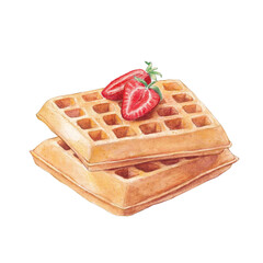 Watercolor waffles and strawberry on white