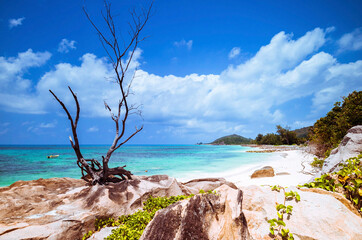 The beautiful Anse Kerlan at Praslin, Seychelles Islands.
