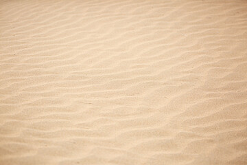 Fototapeta na wymiar Sandy beach for background. The texture of the sand. Top view of dunes in the desert.
