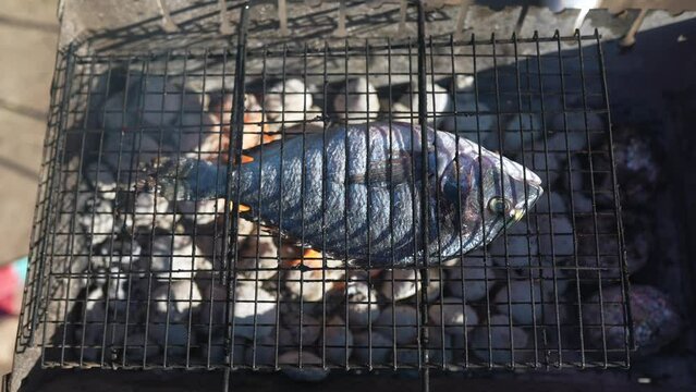 Grilling dorada fish on grill. Close view