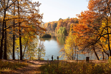 Beautiful autumn landscape - park, pond, trees with orange foliage