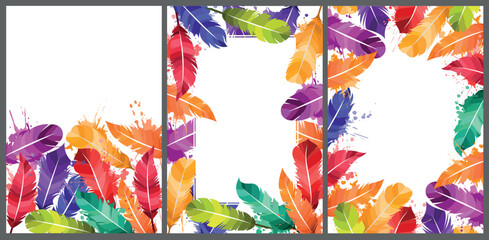 Feathers of birds, vector illustration collection of colorful set writer card background