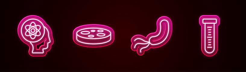 Set line Atom, Petri dish with bacteria, Bacteria and Test tube. Glowing neon icon. Vector