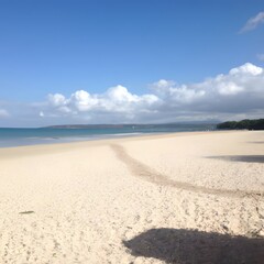 Fototapeta na wymiar Sandy tropical beach with white sand and clouds in the sunny sky