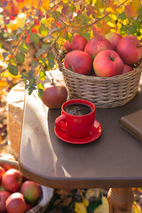 Collected red apples in the autumn garden. Sunny day.