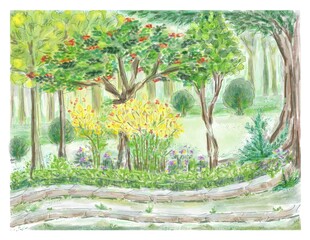 Botanical garden, illustration for postcard, invitation, poster