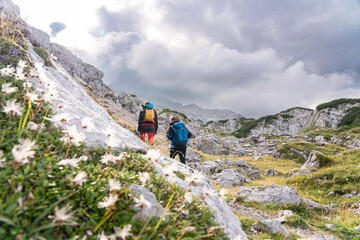 hiking in the mountains