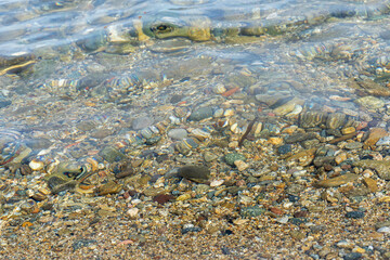Kiesel im Wasser am Strand