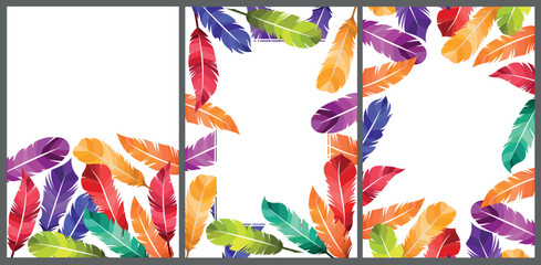 Feathers of birds, vector illustration collection of colorful writer card background