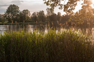 Sonnenuntergang. Idyllische Aussicht auf den See. Bayern.