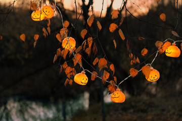 Orange jack-o' lanterns garland on dark mysterious natural abstract background. symbol of Halloween...