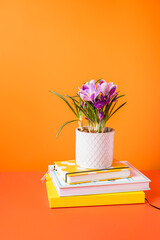 Crocus plant over a pile of books on an orange background.