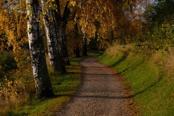 path in the autumn park