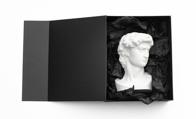 sculpture head of David in black box