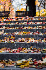stairs with autumn leaves view on old stone steps in autumn park Colorful fallen maple leaves on granite stairs. fall leaves text background leaf Red and orange autumn.