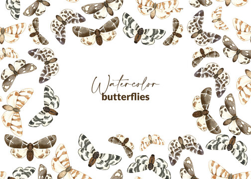 Frame with illustrated brown butterflies. Hand drawn watercolor moth. Design for packaging, label, stationery and greeting card. Flying insects.