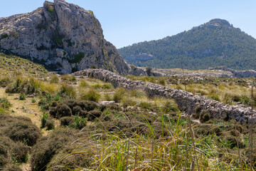 Fototapeta na wymiar Wanderung auf Mallorca durch das Tramuntana Gebirge auf dem Fernwanderweg GR 221 Ruta de Pedra en Sec von Soller nach Lluc. Hier eine typische Trockenmauer.