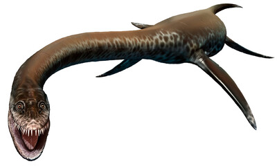 Styxosaurus from the Cretaceous era 3D illustration	