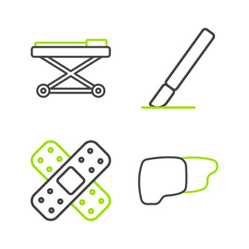 Set line Human organ liver, Crossed bandage plaster, Surgery scalpel and Stretcher icon. Vector