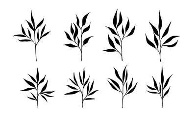 Branches with leaves. Hand drawn natural decor set. Sketch of a branch with leaves. Plant element.