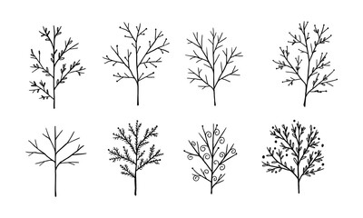 Set of branches and trees in doodle style. Cute floral decorations. Lovely decor of twigs, leaves and berries.