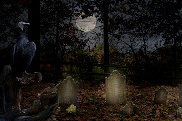 Full moon lights a cemetery wathched over by a vulture