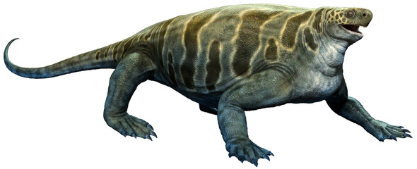 Cotylorhynchus from the Permian era 3D illustration	