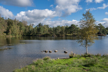 Tarn Hows view from near car park