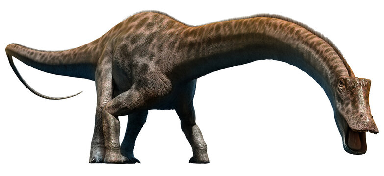Diplodocus from the Jurassic era 3D illustration	
