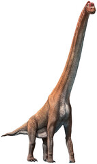 Giraffatitan from the Jurassic era 3D illustration  © warpaintcobra