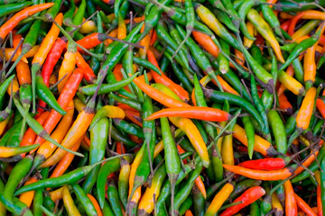 chili peppers-red, green, and yellow background from above horizontal